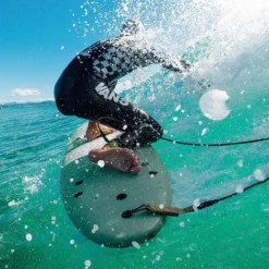 SURF SOFTECH BOMBER FCS II VERT/BLANC -Paradis Marin f3 14 04 2020 10 04 45