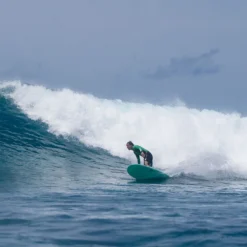 SURF LONGBOARD TORQ 9.0 -Paradis Marin longboard906 31 12 2018 12 00 00