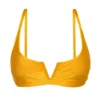 Top Eden-Pequi Bra-V